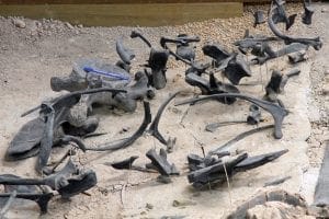 jurassic national monument