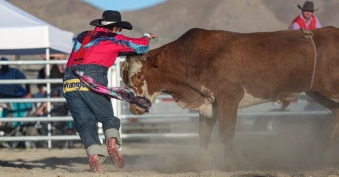 Westlee Jones, Payson native taking type 1 diabetes by the horns