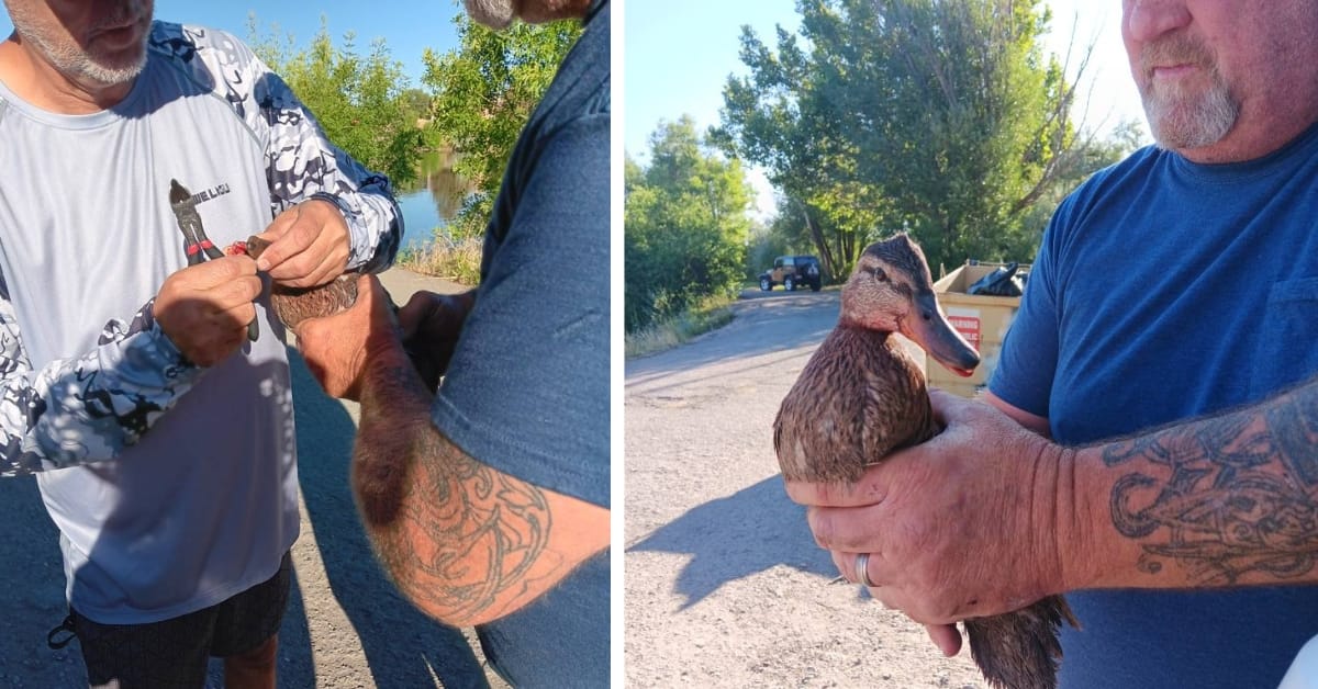 Duck rescued from fishing line at Spring Lake should remind us all to do better.