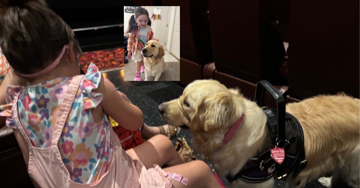 Service Animals Allow Individuals with Disabilities Freedom and Independence - Part 3.